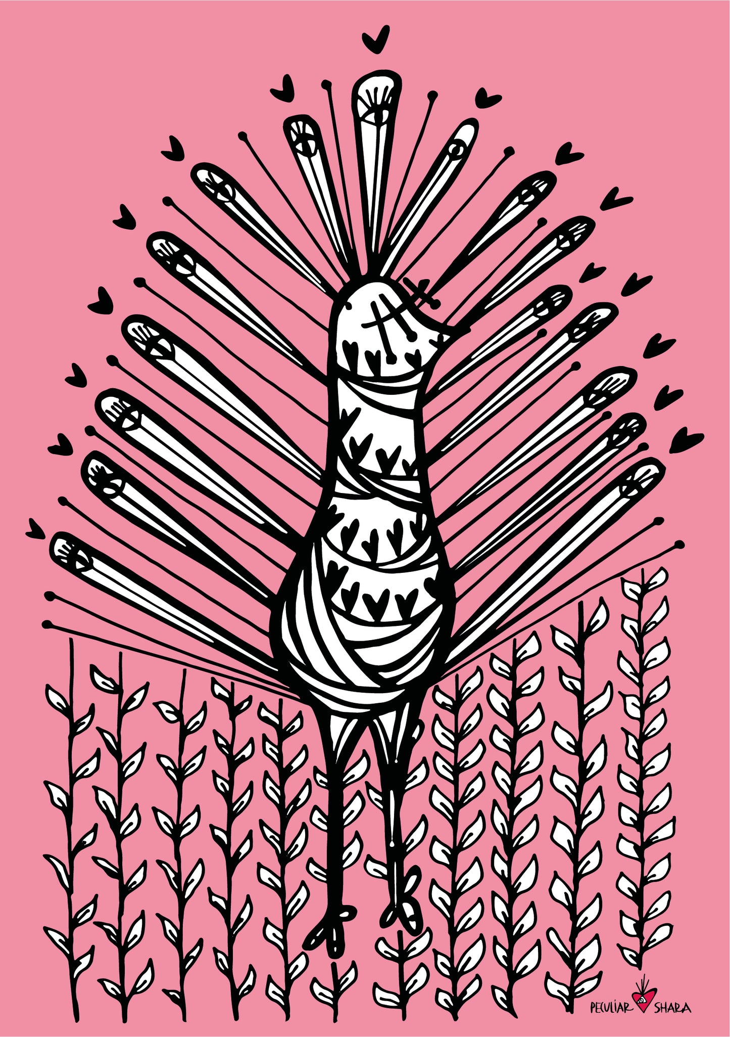 De Gallinita a Pavo Real (colección 3 prints)